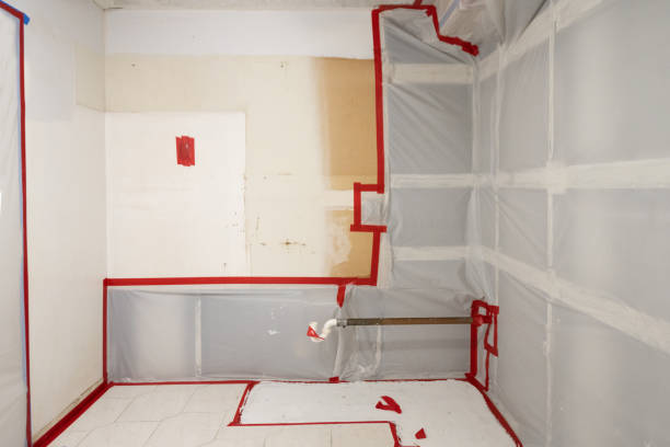 Best Biohazard Mold Removal  in USA